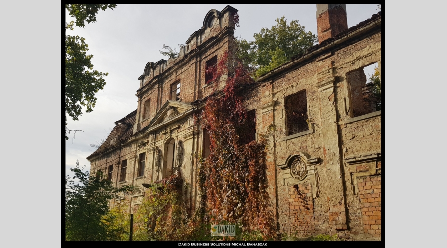 Palace for sale in Poland - International real estate listing.